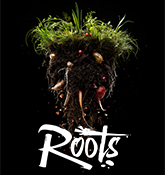 Roots by 3N - egen hemsida